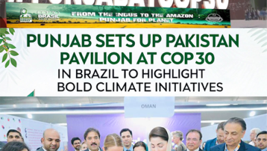 Punjab Sets Up Pakistan Pavilion at COP30 in Brazil to Highlight Bold Climate Initiatives