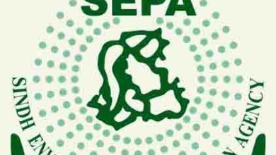 SEPA Climate Change Policy – 7 Powerful Insights from a Critical Sindh Workshop
