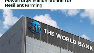 World Bank Grants Morocco Climate-Smart Agriculture Boost: Powerful $4 Million Lifeline for Resilient Farming