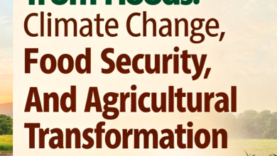 7 Urgent Lessons from Floods: Climate Change, Food Security, and Agricultural Transformation in Pakistan 1 7 Urgent Lessons from Floods: Climate Change, Food Security, and Agricultural Transformation in Pakistan