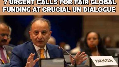Pakistan Climate Finance UNEA: 7 Urgent Calls for Fair Global Funding at Crucial UN Dialogue 2 Pakistan Climate Finance UNEA: 7 Urgent Calls for Fair Global Funding at Crucial UN Dialogue