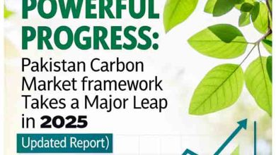 Powerful Progress: Pakistan Carbon Market Framework Takes a Major Leap in 2025 (Updated Report) 1 Powerful Progress: Pakistan Carbon Market Framework Takes a Major Leap in 2025 (Updated Report)