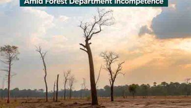 5 Shocking Failures Deepening Pakistan’s Climate Crisis Amid Forest Department Incompetence 1 5 Shocking Failures Deepening Pakistan’s Climate Crisis Amid Forest Department Incompetence