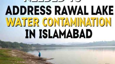 5 Urgent Measures Needed to Address Rawal Lake Water Contamination in Islamabad