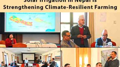 Hopeful Shift: 5 Ways Water-as-a-Service Solar Irrigation in Nepal Is Strengthening Climate-Resilient Farming