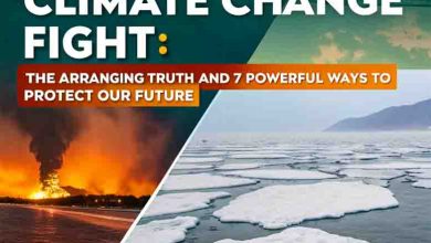 Climate Change Fight: The Alarming Truth and 7 Powerful Ways to Protect Our Future