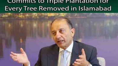 Historic Green Push: CDA Commits to Triple Plantation for Every Tree Removed in Islamabad