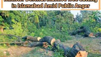 Controversial Spin: Climate Change Minister Defends Massive Tree Cutting in Islamabad Amid Public Anger