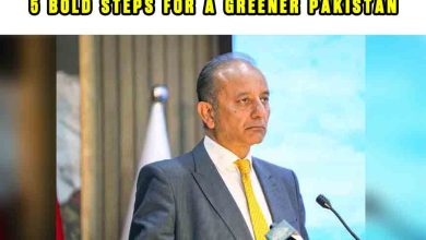 Musadik Malik Reviews Environment-Related Projects in Sindh: 5 Bold Steps for a Greener Pakistan 2 Musadik Malik Reviews Environment-Related Projects in Sindh: 5 Bold Steps for a Greener Pakistan