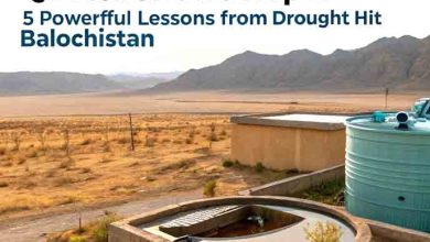Rainwater Harvesting in Quetta Shows Hope: 5 Powerful Lessons From Drought-Hit Balochistan
