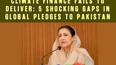 Climate Finance Fails to Deliver: 5 Shocking Gaps in Global Pledges to Pakistan 1 Climate Finance Fails to Deliver: 5 Shocking Gaps in Global Pledges to Pakistan