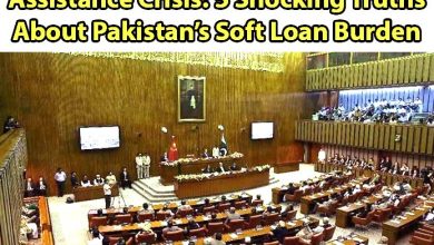 2022 Floods International Assistance Crisis: 5 Shocking Truths About Pakistan’s Soft Loan Burden