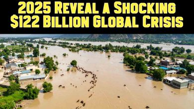 Top 10 Climate Disasters 2025 Reveal a Shocking $122 Billion Global Crisis 2 Top 10 Climate Disasters 2025 Reveal a Shocking $122 Billion Global Crisis