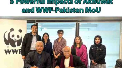 Inspiring Climate Breakthrough: 5 Powerful Impacts of Akhuwat and WWF-Pakistan MoU