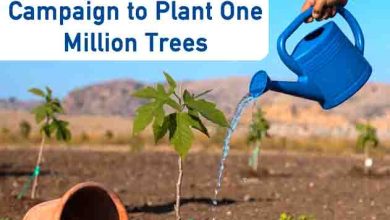 Balochistan Launches Tree Plantation Campaign to Plant One Million Trees