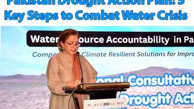 Pakistan Drought Action Plan: 5 Key Steps to Combat Water Crisis