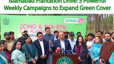 Islamabad Plantation Drive: 5 Powerful Weekly Campaigns to Expand Green Cover 2 Islamabad Plantation Drive: 5 Powerful Weekly Campaigns to Expand Green Cover
