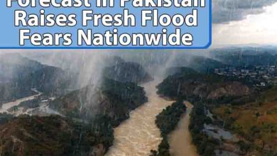Dangerous Rain Forecast in Pakistan Raises Fresh Flood Fears Nationwide 1 Dangerous Rain Forecast in Pakistan Raises Fresh Flood Fears Nationwide