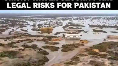 Indus Waters Treaty Crisis: Water Security and Legal Risks for Pakistan