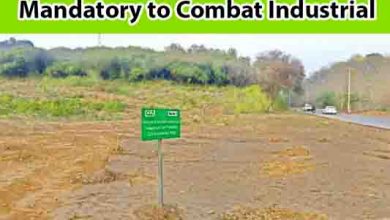 Punjab Makes Green Buffer Zones Mandatory to Combat Industrial Pollution