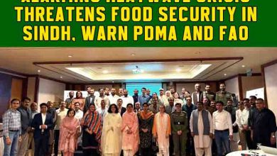 Alarming Heatwave Crisis Threatens Food Security in Sindh, Warn PDMA and FAO