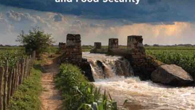 Alarming IWT Violations Threaten South Punjab’s Fertile Land and Food Security 4 Alarming IWT Violations Threaten South Punjab’s Fertile Land and Food Security