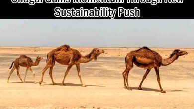 Balochistan Climate Action Plan for Chagai Gains Momentum Through New Sustainability Push