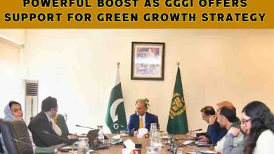 Climate Financing Pakistan Sees Powerful Boost as GGGI Offers Support for Green Growth Strategy