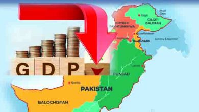 Climate Losses in Pakistan 2026: Alarming 6% GDP Threat Sparks Urgent Solar Action 2 Climate Losses in Pakistan 2026: Alarming 6% GDP Threat Sparks Urgent Solar Action