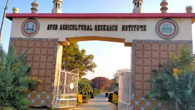 Climate-Smart Pest Control Pakistan 2026: Experts Warn of Growing Threat to Food Security