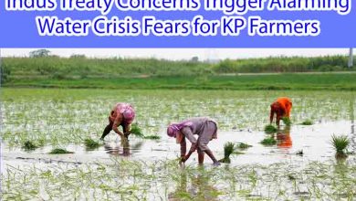 Indus Treaty Concerns Trigger Alarming Water Crisis Fears for KP Farmers