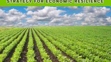 Pakistan Climate Prosperity Plan Launches Powerful Green Growth Strategy for Economic Resilience