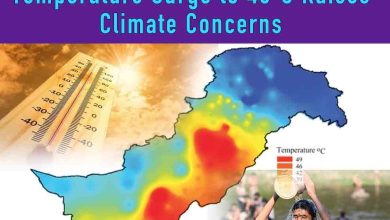Punjab Heatwave 2026: Alarming Temperature Surge to 46°C Raises Climate Concerns