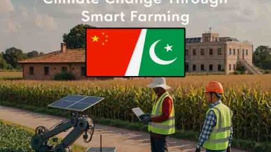 China to Support Punjab Agriculture Against Climate Change Through Smart Farming