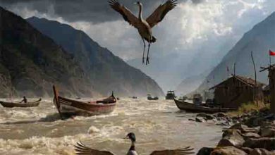 Alarming Indus Water Treaty Violations Threaten Wildlife and Livelihoods in Northern Pakistan