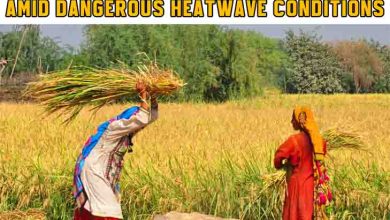 Climate Safety for Women Agricultural Workers Demanded Amid Dangerous Heatwave Conditions