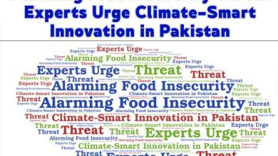 Alarming Food Insecurity Threat: Experts Urge Climate-Smart Innovation in Pakistan