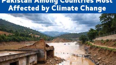 Alarming Climate Crisis: Pakistan Among Countries Most Affected by Climate Change