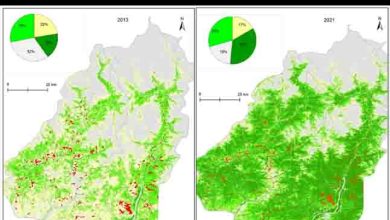 Pakistan Ten Billion Tree Tsunami Creates Powerful Climate Action and Green Jobs Revolution