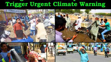 Pakistan’s Sindh Heatwave Crisis: Dangerous 49°C Temperatures Trigger Urgent Climate Warning