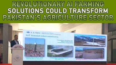 Revolutionary AI Farming Solutions Could Transform Pakistan’s Agriculture Sector