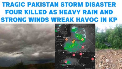 Tragic Pakistan Storm Disaster: Four Killed as Heavy Rain and Strong Winds Wreak Havoc in KP