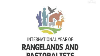 Powerful Silk Road Caravan Unites Nations to Champion Rangelands and Pastoralists Across Eurasia
