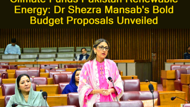 Climate Funds Pakistan Renewable Energy: Dr Shezra Mansab's Bold Budget Proposals Unveiled 1 Climate Funds Pakistan Renewable Energy: Dr Shezra Mansab's Bold Budget Proposals Unveiled