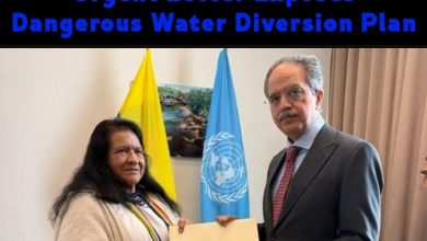 Ishaq Dar UNSC India Rivers: Urgent Letter Exposes Dangerous Water Diversion Plan