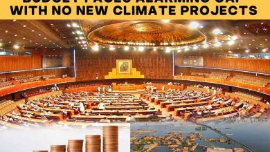 Pakistan Climate Change Budget Faces Alarming Gap with No New Climate Projects 4 Pakistan Climate Change Budget Faces Alarming Gap with No New Climate Projects