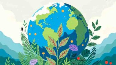 Pakistan Climate Reality Faces Alarming Future as World Environment Day Sparks Urgent Warning