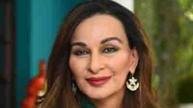 Sherry Rehman Climate Change Warning Highlights Alarming Environmental Crisis in Pakistan 2 Sherry Rehman Climate Change Warning Highlights Alarming Environmental Crisis in Pakistan