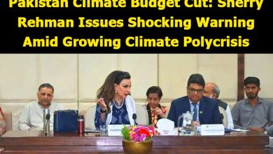 Pakistan Climate Budget Cut: Sherry Rehman Issues Shocking Warning Amid Growing Climate Polycrisis