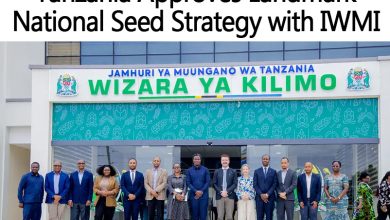 Tanzania Approves Landmark National Seed Strategy with IWMI
